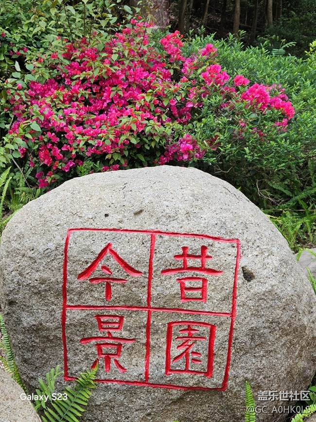 【活動回顧】園博園