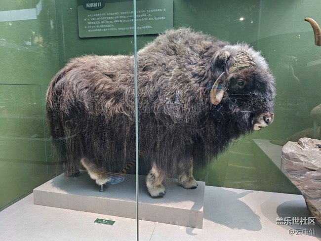 【春日序曲】生存