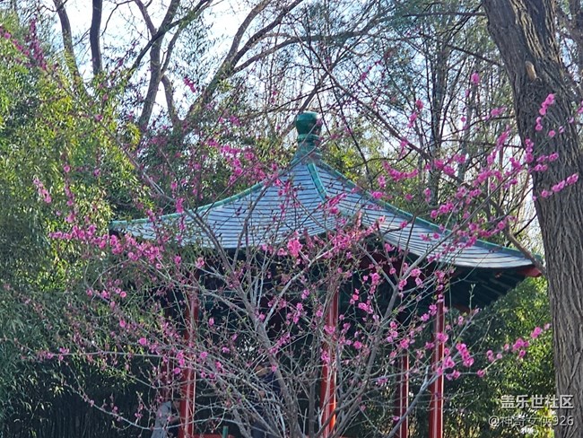 【春日序曲】花團緊蹙