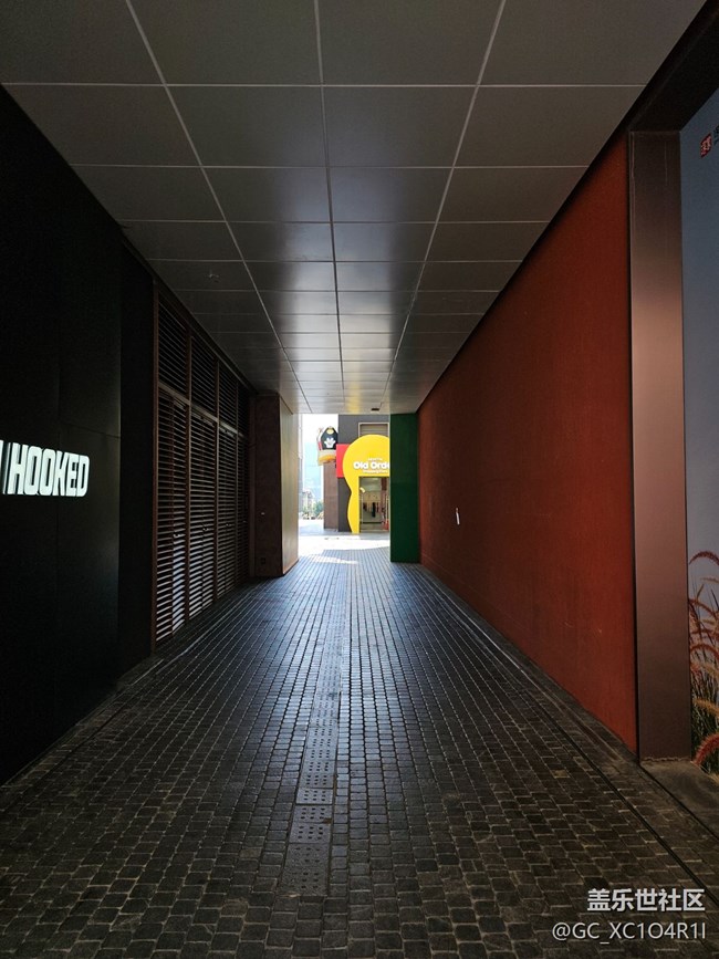 【春暖蓉城 定格美好】城中日常