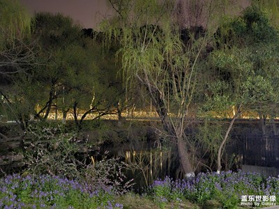 【春之夜】夜神