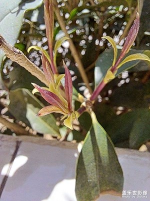 【拍有細(xì)節(jié)】生活中的細(xì)枝末節(jié)