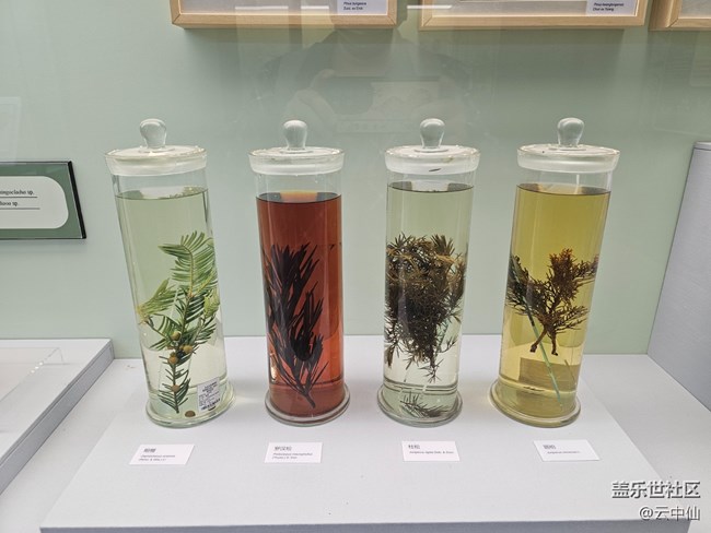 【春日序曲】生物的多樣性