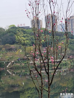 【生機(jī)盎然的世界】