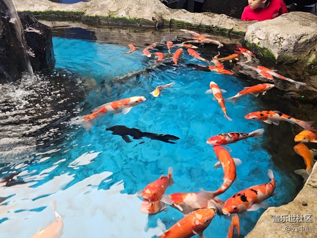 【春日序曲】水族館