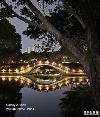 【春之夜】龍?zhí)豆珗@夜景獵影