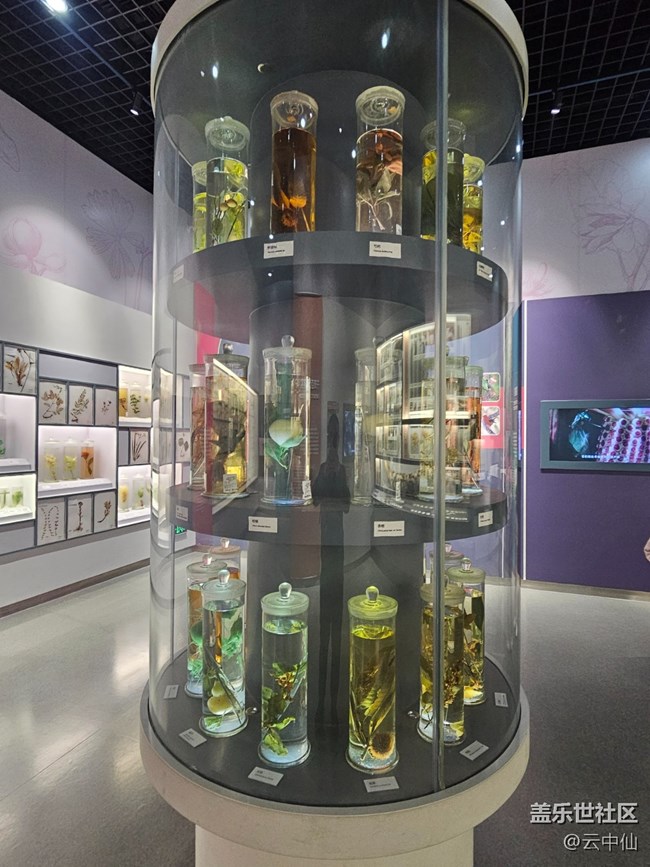 【春日序曲】生物的多樣性