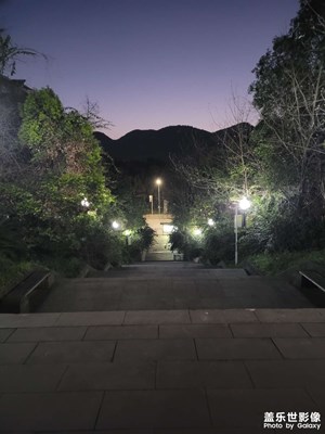 【春之夜】夜之美