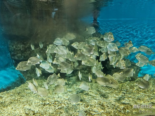 【春日序曲】水族館