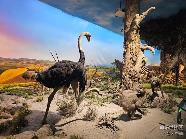 【春日序曲】非洲風(fēng)情