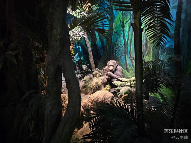 【春日序曲】夢(mèng)幻非洲