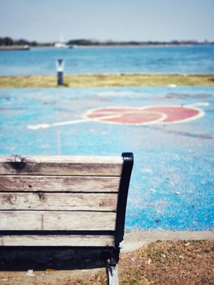 【生機(jī)盎然的世界】+帶上W25 Flip去郊游