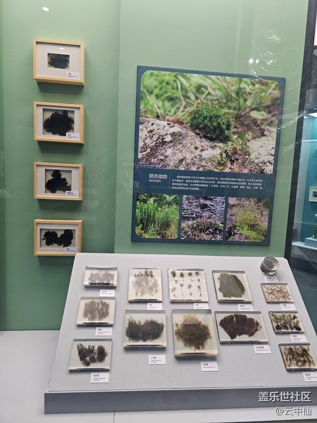 【春日序曲】生物的多樣性