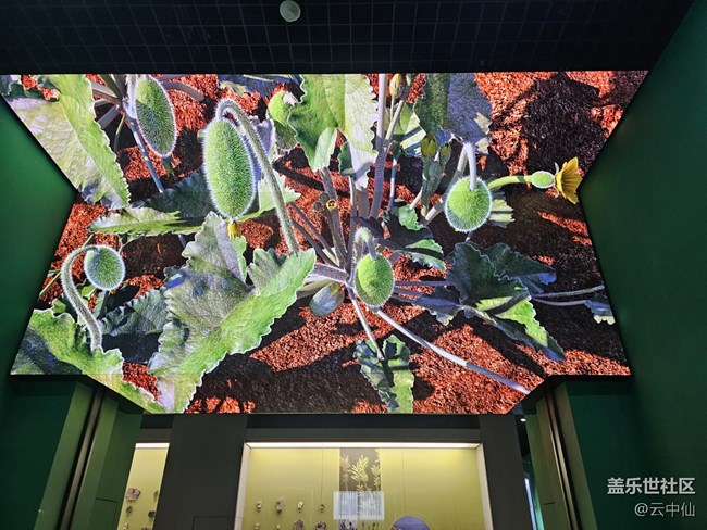 【春日序曲】生物的多樣性