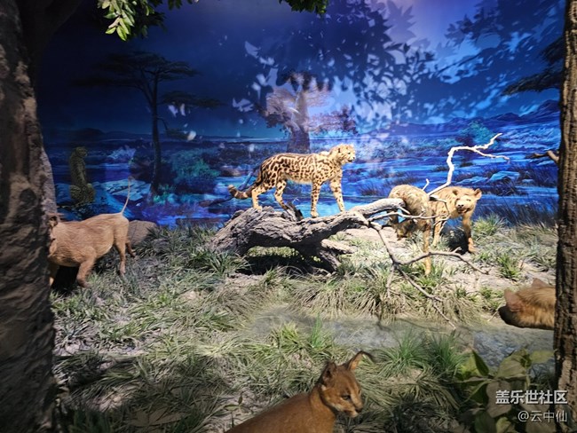 【春日序曲】非洲風(fēng)情