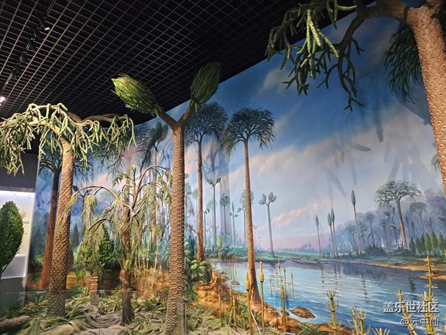 【春日序曲】夢(mèng)幻非洲