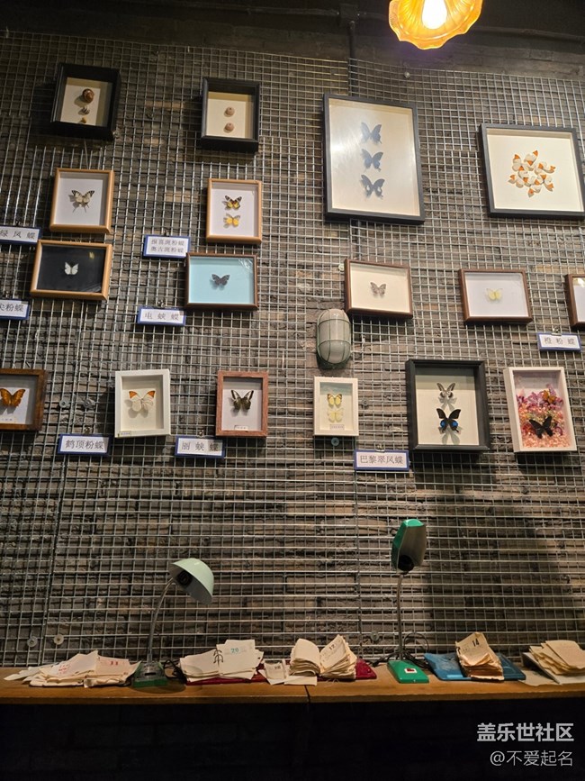 【春日序曲】時光漣漪?