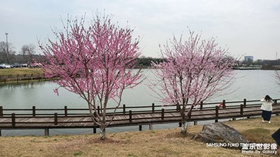 【生機盎然的世界】+春天的活力滿滿