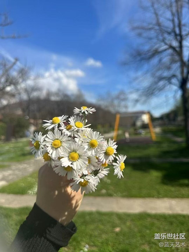 【春日尋花】賞花