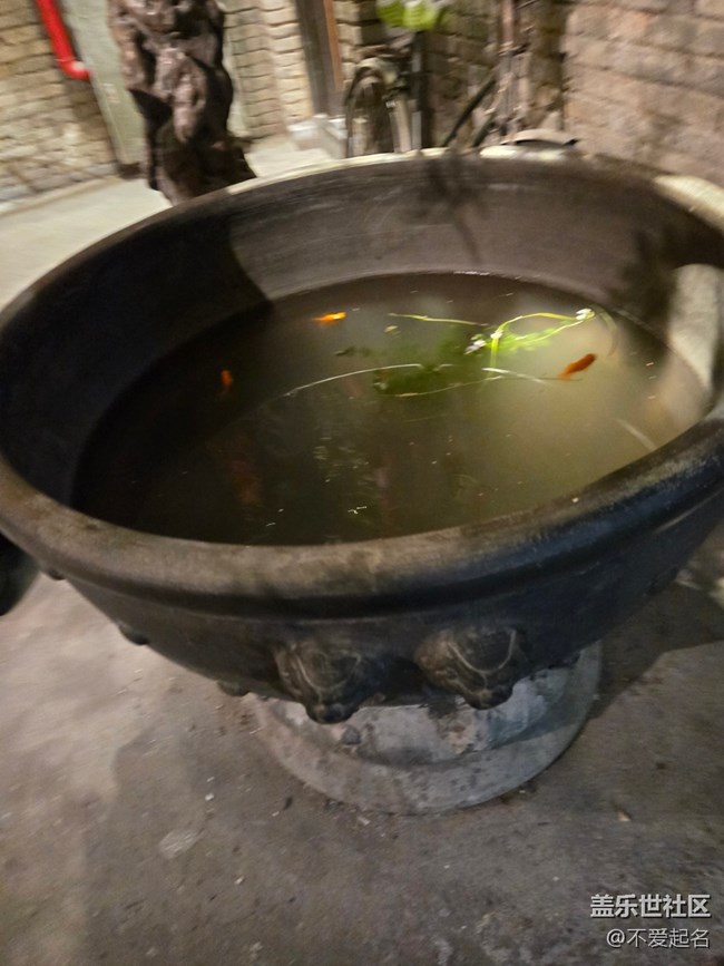 【春日序曲】古韻悠長?