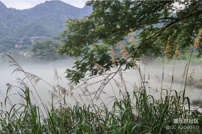 【春日踏青季】門前小河