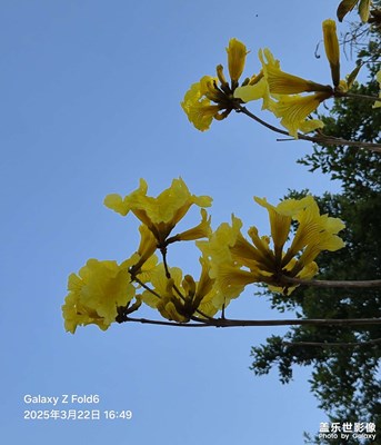 【生機盎然的世界】春之色彩