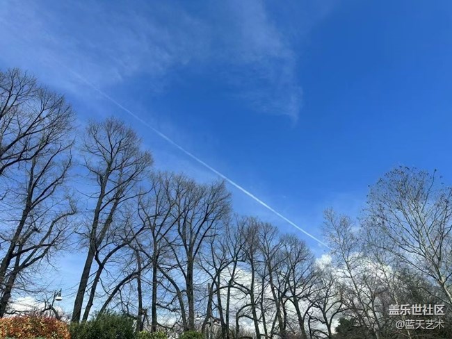 【春日尋花】賞花