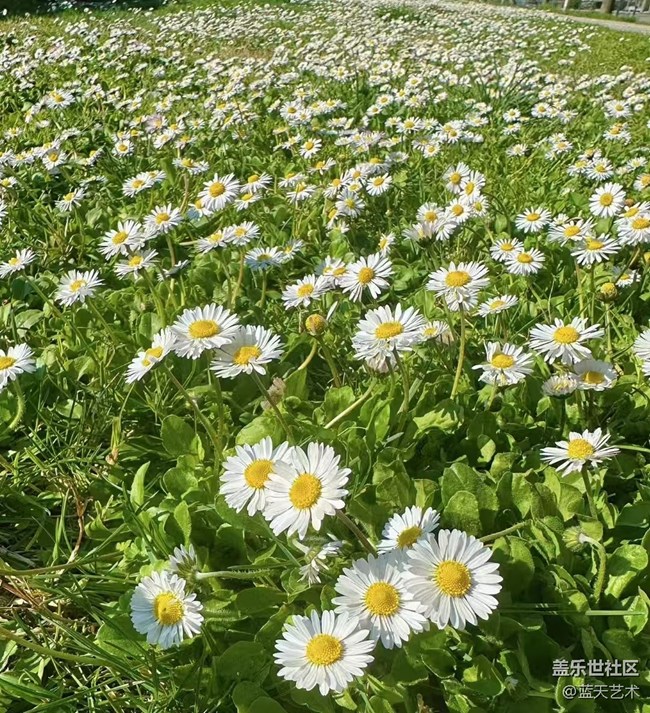 【春日尋花】賞花