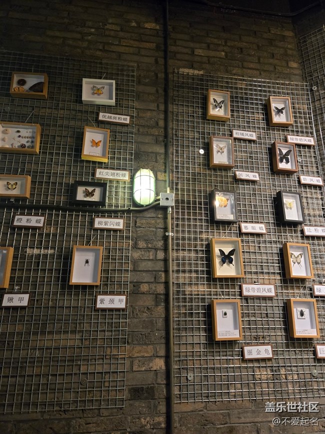 【春日序曲】時光漣漪?