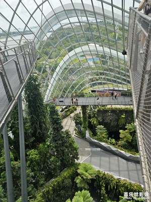 【生機盎然的世界】+濱海灣花園