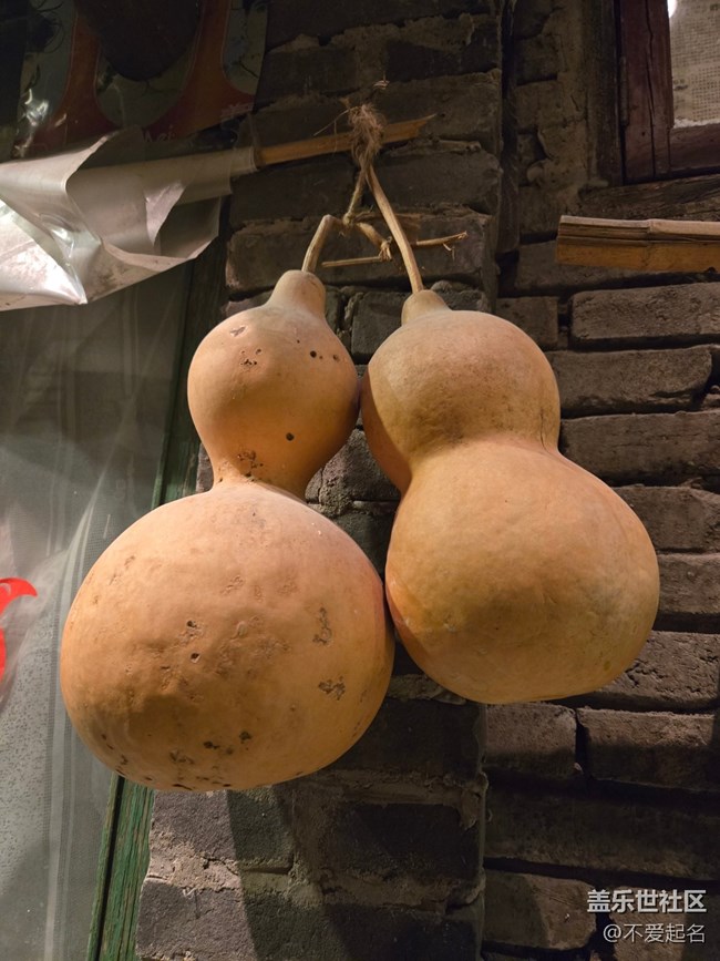 【春日序曲】舊夢初醒?