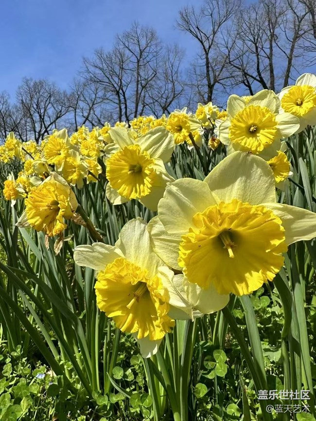 【春日尋花】賞花