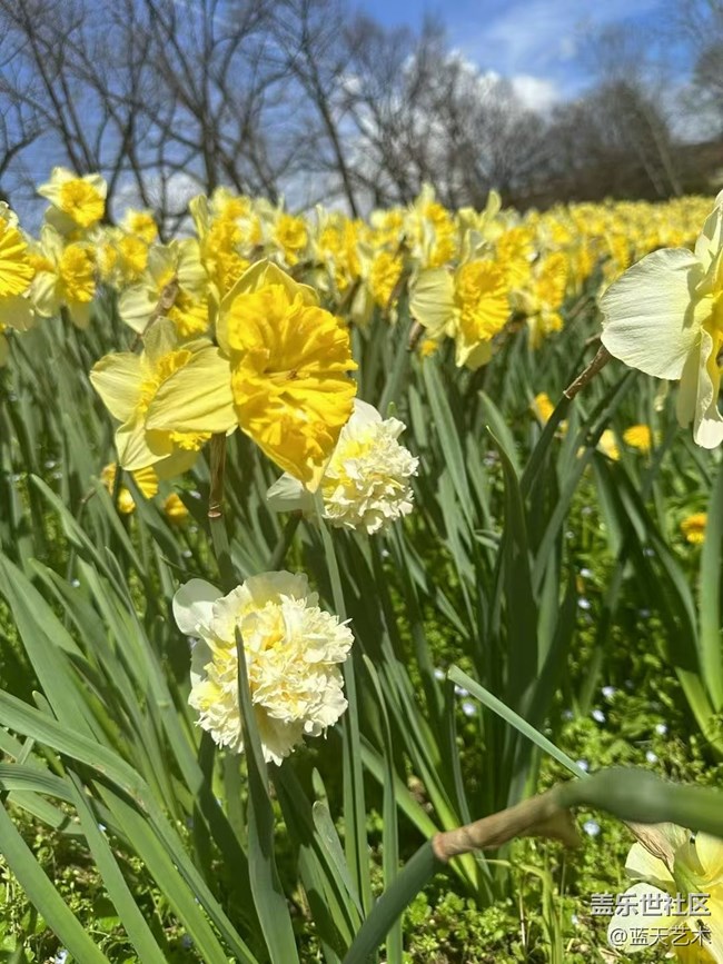 【春日尋花】賞花