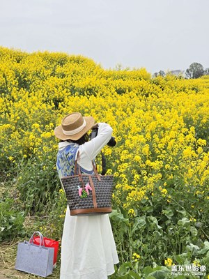 【生機(jī)盎然的世界】定格金黃瞬間，描繪春日詩行