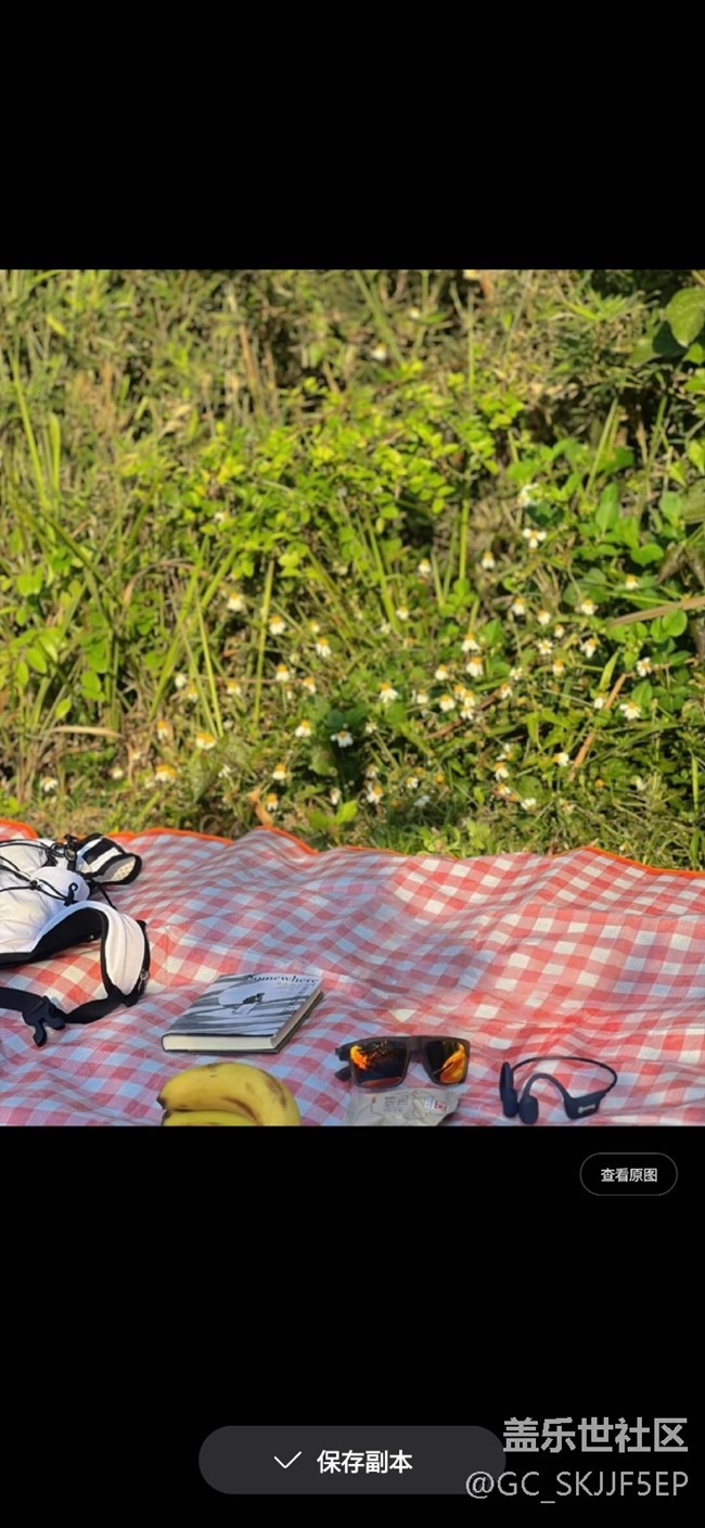 【玩轉(zhuǎn)Galaxy AI】野餐美照秘籍