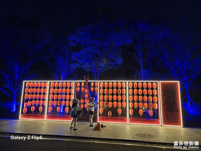 【春之夜】散步公園