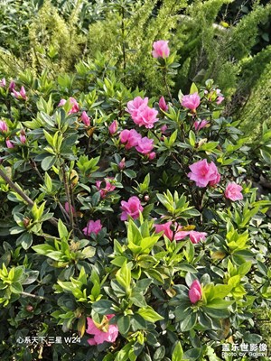 【生機盎然的世界】春來了