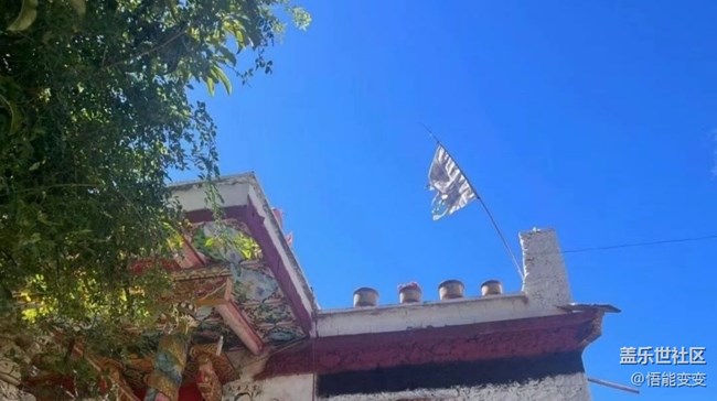 【春日踏青季】春日去追風(fēng)