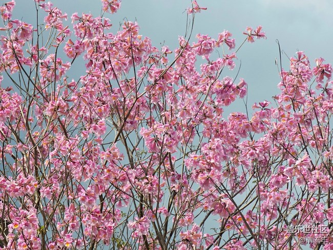 【醒春】春天來了