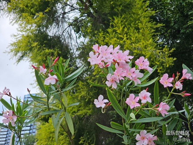 【醒春】春天來了