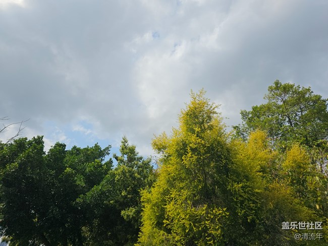 【醒春】春天來了