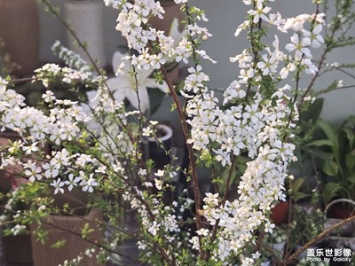 【生機(jī)盎然的世界】+生生不息