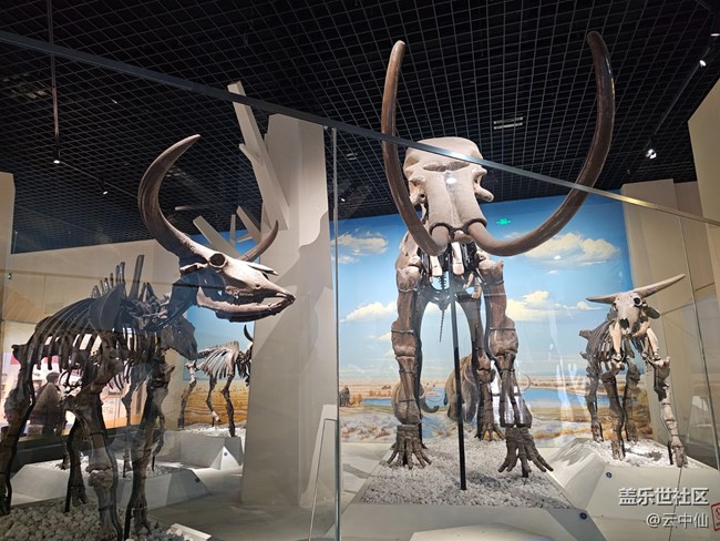 【春日序曲】遠古巨獸