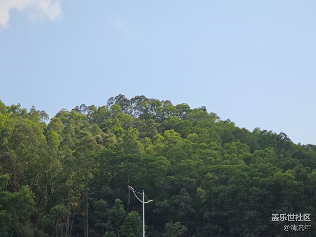 【醒春】春天來了