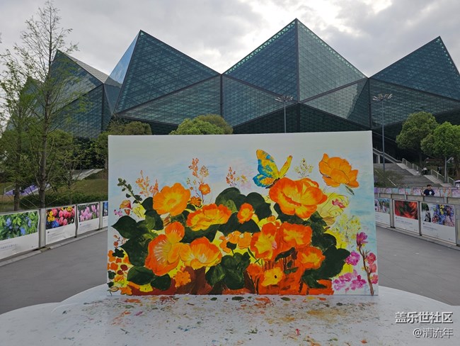 【城市建筑美學(xué)】體育館