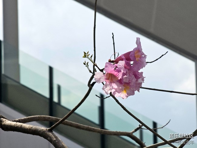 【醒春】春天來了