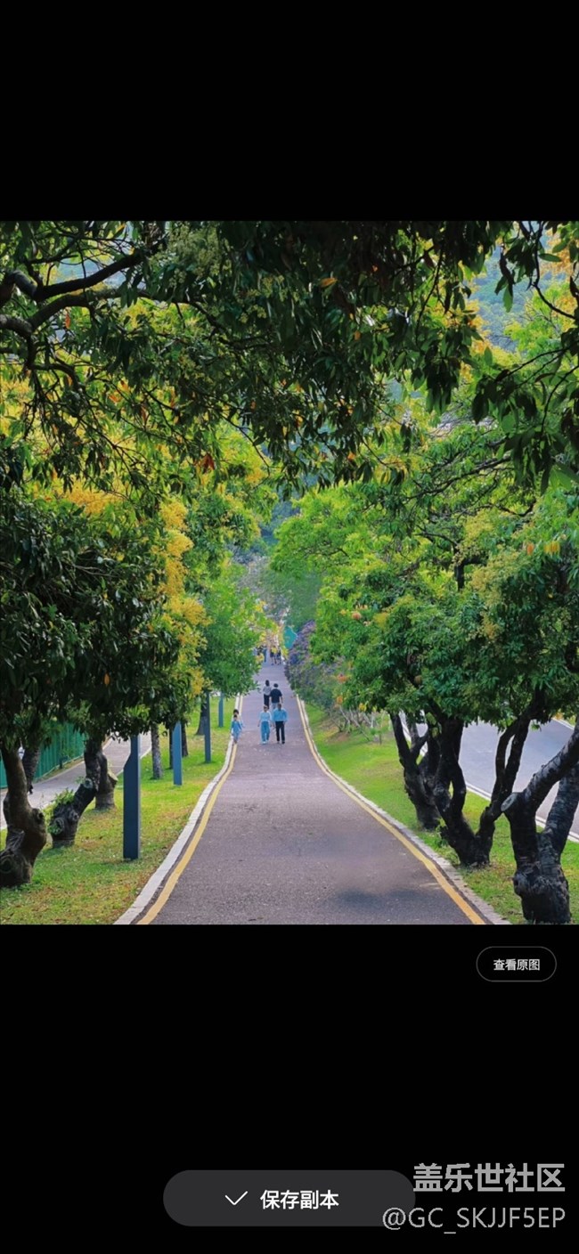 【玩轉(zhuǎn)Galaxy AI】漫步小徑的魔法