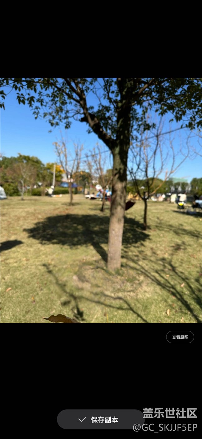 【AI玩生成式編輯】微觀之美大呈現(xiàn)