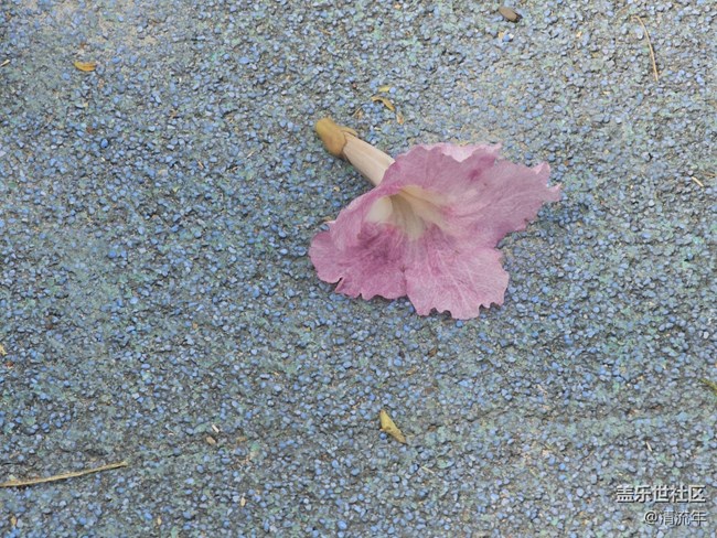 【約定3月的旅行】去徒步旅行