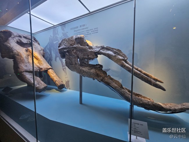 【春日序曲】遠古巨獸